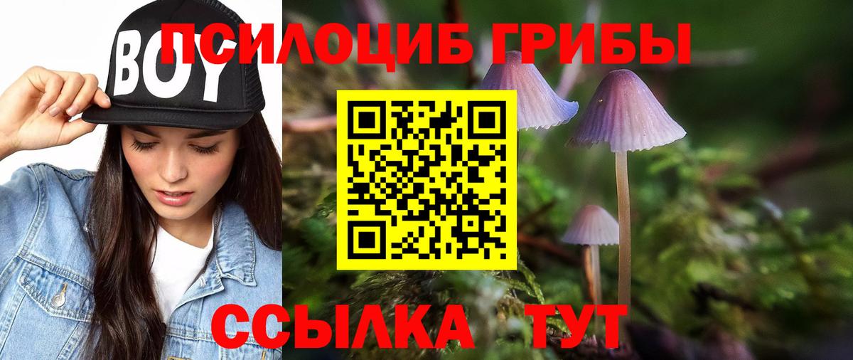 Псилоцибиновые грибы Magic Shrooms  Галлюциногенные грибы Psilocybine cubensis  Вход с VPN  Можайск 